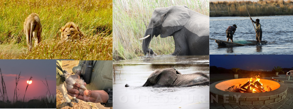 How to Capture Stunning Photos on Your Safari: Tips from Rich’s Adventure