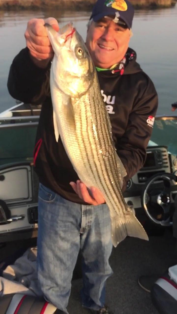 Fly Fishing for Striped Bass ( Stripers ) on the Napa River. A hidden Jem